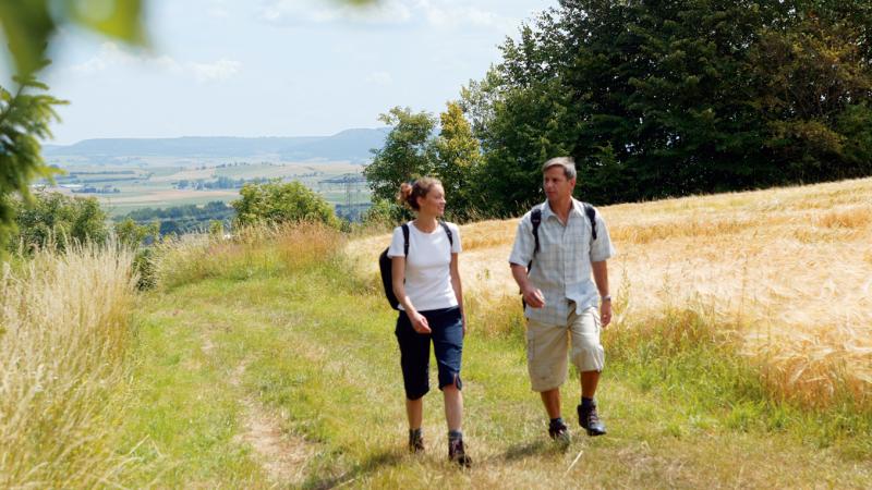 Wandern im Schwarzwald Wandern im Schwarzwald