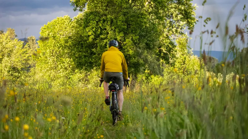 Radtouren im Schwarzwald